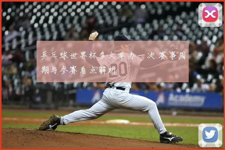 乒乓球世界杯多久举办一次 赛事周期与参赛看点解析