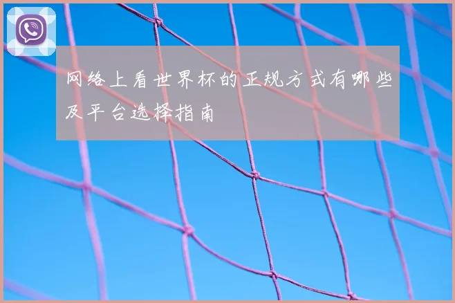 网络上看世界杯的正规方式有哪些及平台选择指南