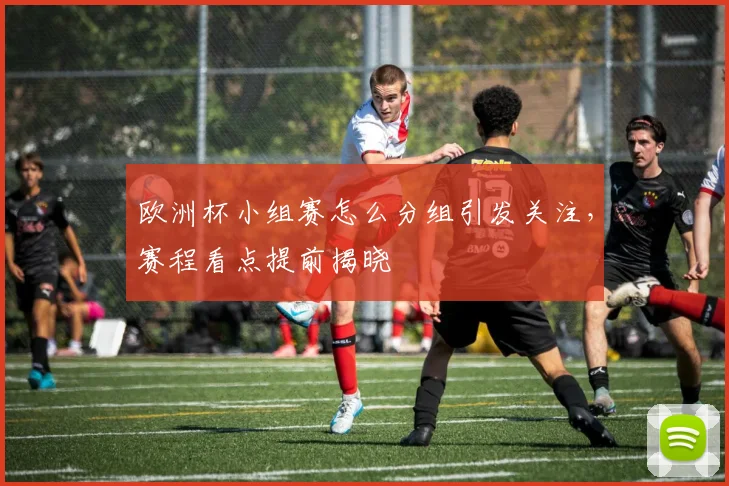 欧洲杯小组赛怎么分组引发关注，赛程看点提前揭晓