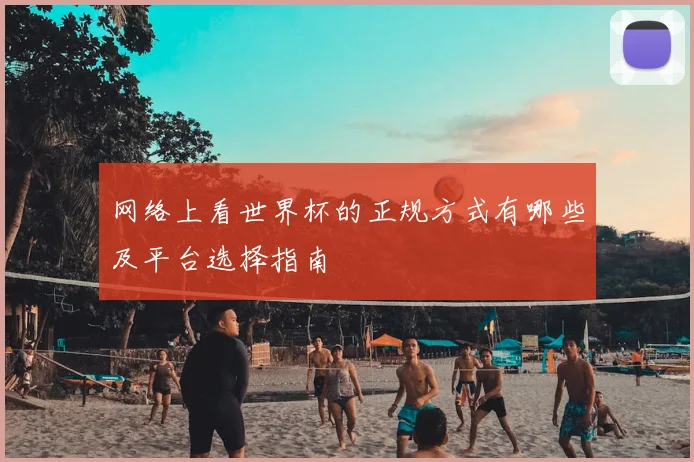 网络上看世界杯的正规方式有哪些及平台选择指南