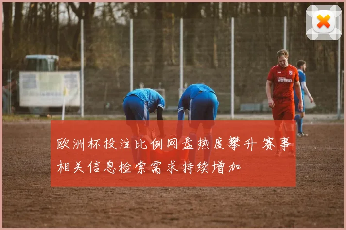 欧洲杯投注比例网盘热度攀升 赛事相关信息检索需求持续增加