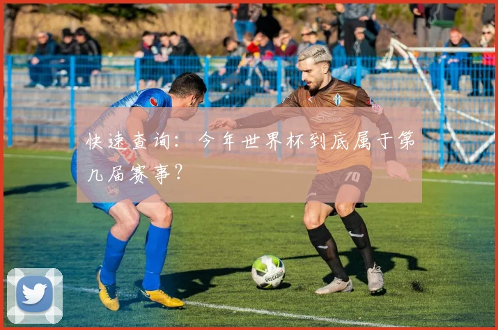 快速查询:今年世界杯到底属于第几届赛事?