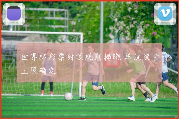 世界杯彩票封顶规则揭晓 单注奖金上限确定