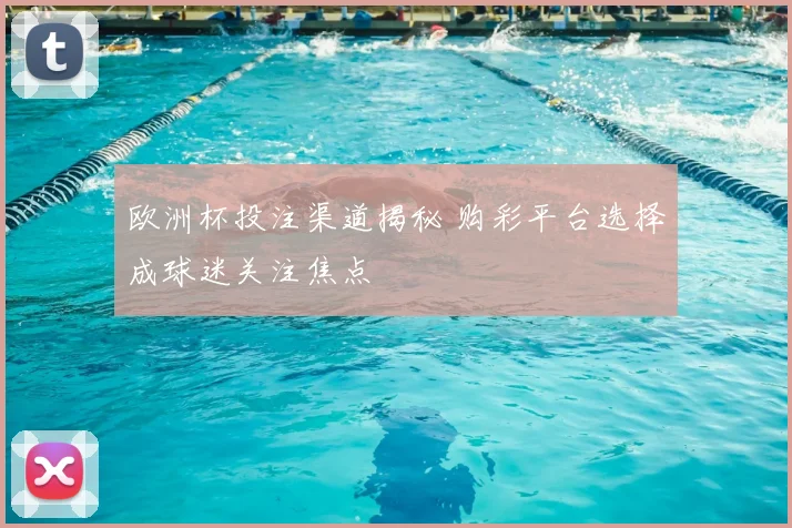 欧洲杯投注渠道揭秘 购彩平台选择成球迷关注焦点