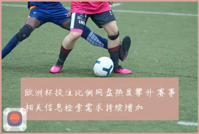 欧洲杯投注比例网盘热度攀升 赛事相关信息检索需求持续增加