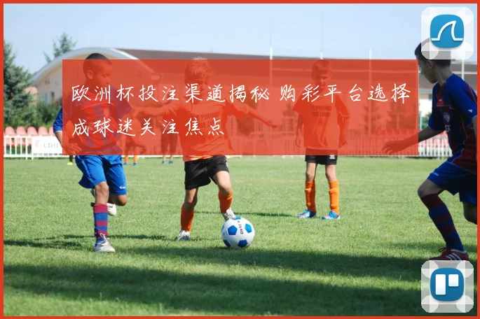 欧洲杯投注渠道揭秘 购彩平台选择成球迷关注焦点