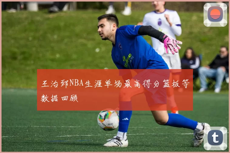 王治郅NBA生涯单场最高得分篮板等数据回顾