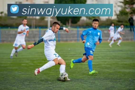 开云app在线入口品牌故事