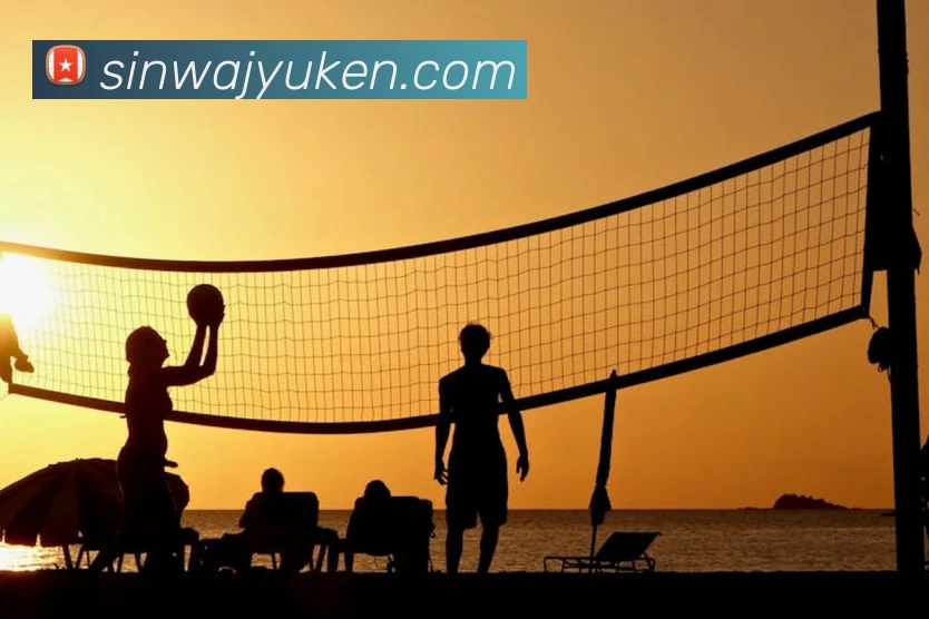 开云app在线入口服务体系